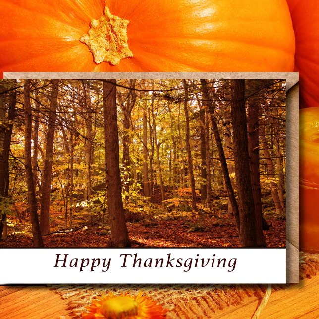 Happy Thanksgiving Autumn Colors Forest Card (Creator Uploaded)