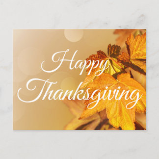 Happy Thanksgiving Autumn Leaves  Holiday Postcard