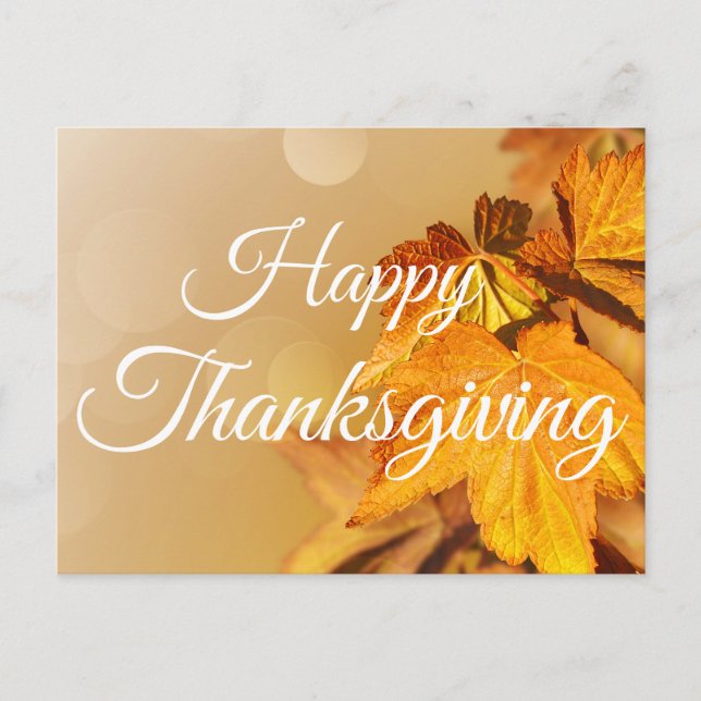 Happy Thanksgiving Autumn Leaves  Holiday Postcard (Front)
