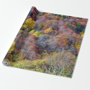 Happy Thanksgiving Beautiful View Autumn forest Wrapping Paper