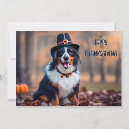 Happy Thanksgiving Bernese Mountain Dog Pilgrim Holiday Card