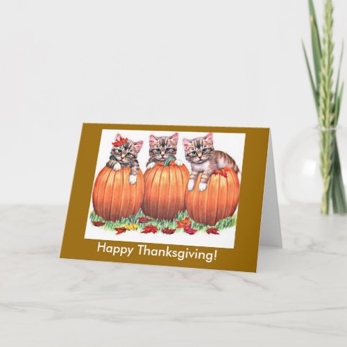 Happy Thanksgiving Blessed the Cats Meow ZSSG Holiday Card