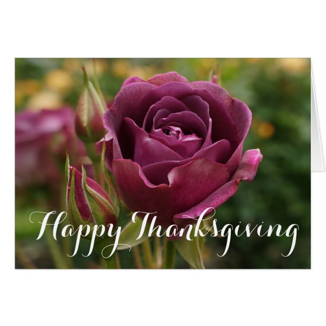 Happy Thanksgiving Burgundy Iceberg Rose #1-2 Card (Front Horizontal)