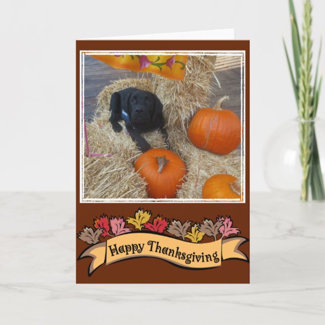 Happy Thanksgiving card (Front)
