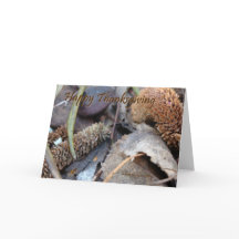 Happy Thanksgiving - Card