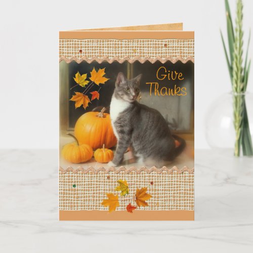 Happy Thanksgiving Card with Cat and Pumpkins