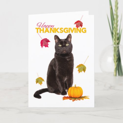 Happy Thanksgiving Cute Black Cat With Fall Leaves Holiday Card