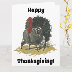 Happy Thanksgiving Cute Cartoon Turkey Card