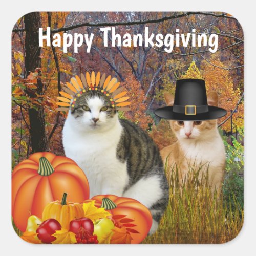 Happy Thanksgiving Cute Cats Pumpkin Square Sticker