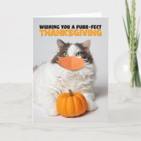 Happy Thanksgiving Cute Kitty Cat in Covid Mask Holiday Card