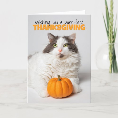 Happy Thanksgiving Cute Kitty Cat With Pumpkin Holiday Card