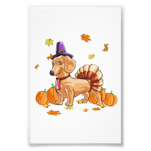 Happy Thanksgiving Dachshund Turkey Costume T  Fun Photo Print (Front)