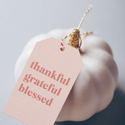 Happy Thanksgiving Day  Thankful Grateful Blessed Gift Tags