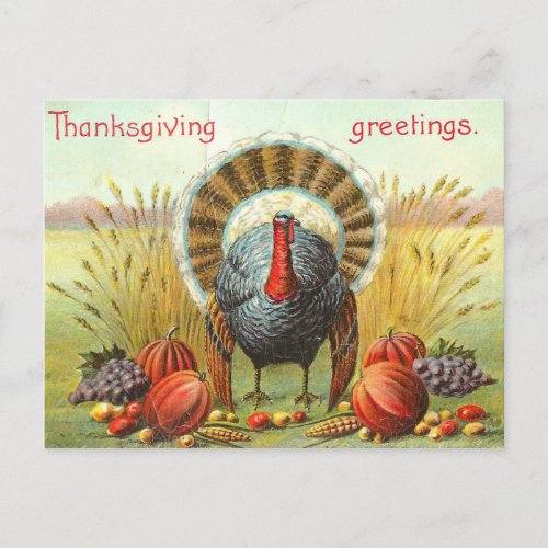 Happy Thanksgiving Day turkey with pumpkins Postcard