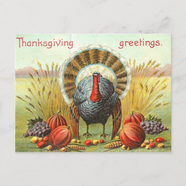 Happy Thanksgiving Day turkey with pumpkins Postcard (Front)