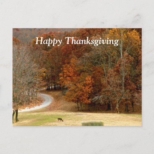 Happy Thanksgiving Fall Photo Autumn Trees Deer Holiday Postcard