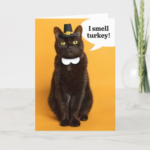 Happy Thanksgiving For Anyone Black Pilgrim Cat Holiday Card