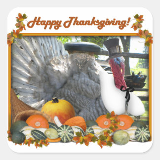 Happy Thanksgiving from Tom the Pilgrim Turkey Square Sticker