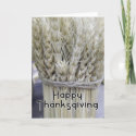Happy Thanksgiving Greeting Card card