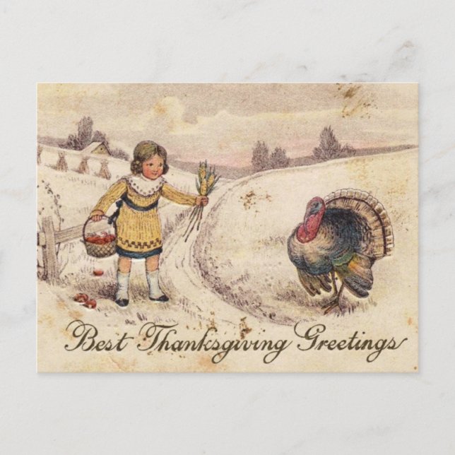 Happy Thanksgiving Greetings Holiday Postcard (Front)