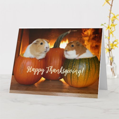 Happy Thanksgiving Guinea Pigs Card