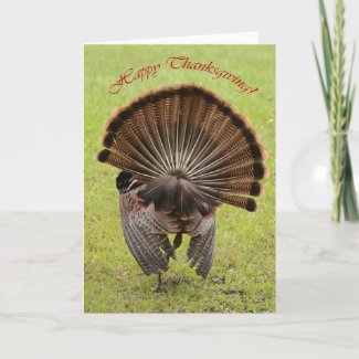 Happy Thanksgiving