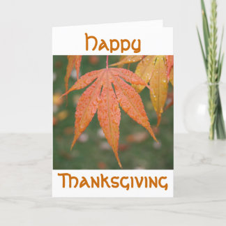 Happy, Thanksgiving Holiday Card