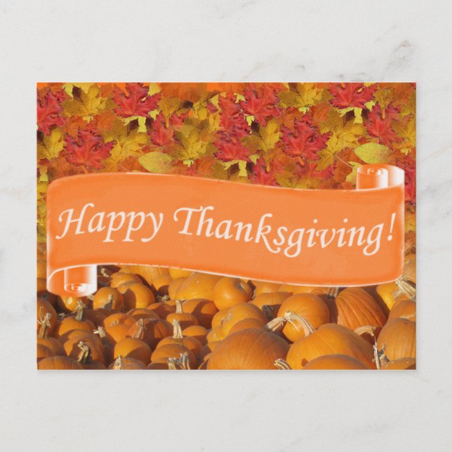Happy Thanksgiving Holiday Postcard (Front)