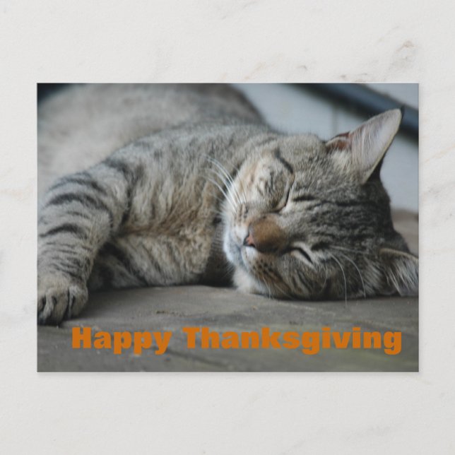 happy thanksgiving holiday postcard (Front)