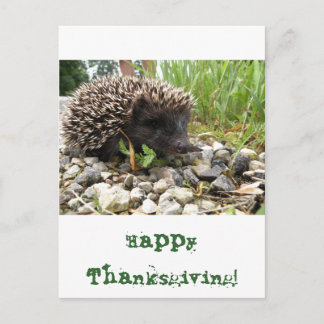 Happy Thanksgiving! Holiday Postcard