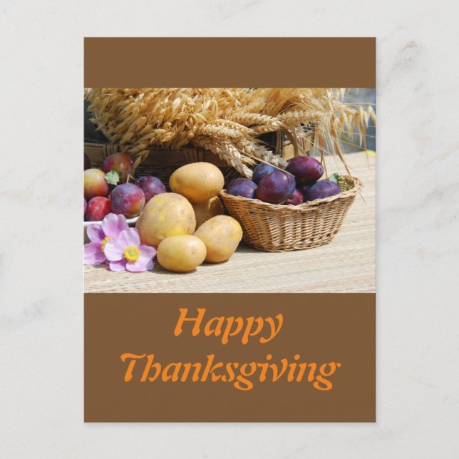 Happy Thanksgiving Holiday Postcard (Front)