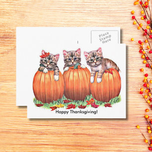 Happy Thanksgiving Kittens on Pumpkins Autumn, ZSG Holiday Postcard