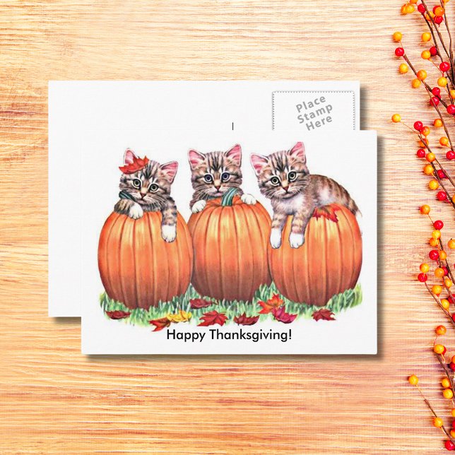 Happy Thanksgiving Kittens on Pumpkins Autumn, ZSG Holiday Postcard (Happy Thanksgiving Kittens on Pumpkins Autumn Holiday Postcard)