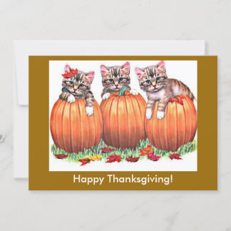 Happy Thanksgiving Kittens on Pumpkins, ZSSG Holiday Card