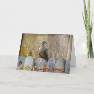 Happy Thanksgiving Love Dove Holiday Card