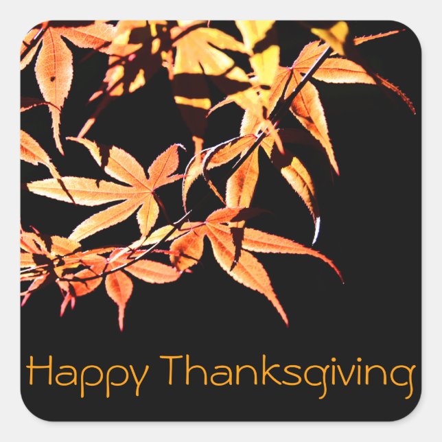 Happy Thanksgiving Maples Autumn colors Sticker (Front)