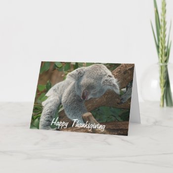 Happy Thanksgiving Napping Koala Bear Holiday Card by RewStudio at Zazzle