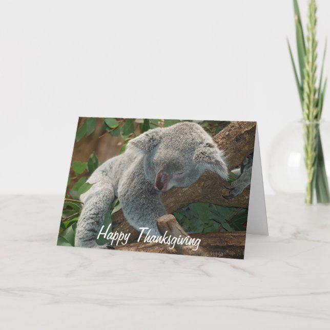 Happy Thanksgiving Napping Koala Bear Holiday Card (Front)