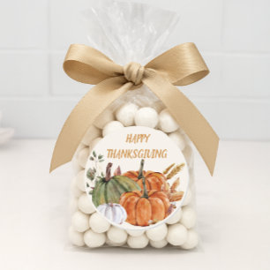 Happy Thanksgiving Pumpkins Orange Green White Classic Round Sticker