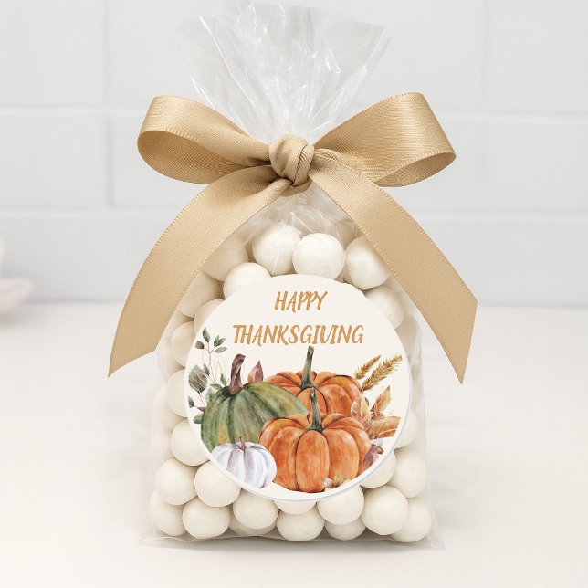 Happy Thanksgiving Pumpkins Orange Green White Classic Round Sticker (Happy Thanksgiving sticker)