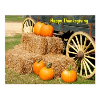Happy Thanksgiving Pumpkins Postcard