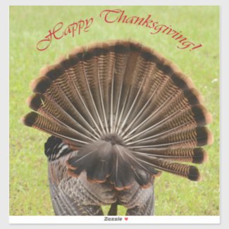 Happy Thanksgiving