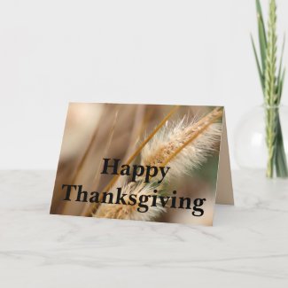 Happy Thanksgiving: Thankful for You