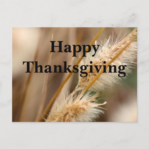Happy Thanksgiving Thankful for You Holiday Postcard
