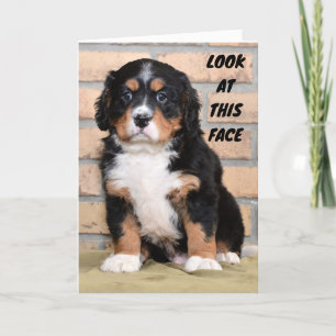 "HAPPY THANKSGIVING TO YOU" SAYS SAD DOT CARD