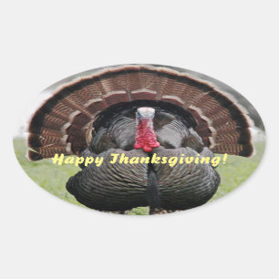 Happy Thanksgiving Turkey Oval Sticker