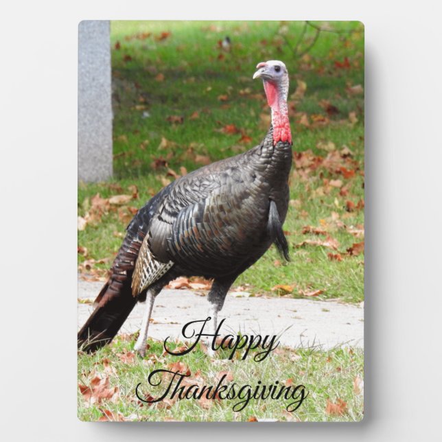 Happy Thanksgiving Turkey Plaque (Front)