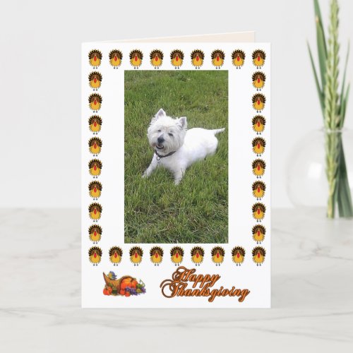 Happy Thanksgiving Westie Card