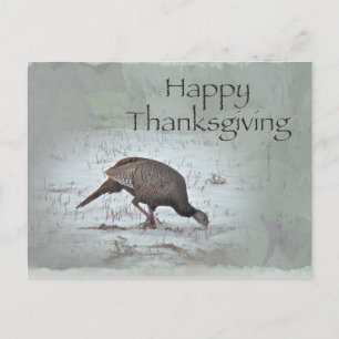 Happy Thanksgiving Wild Turkey Holiday Postcard
