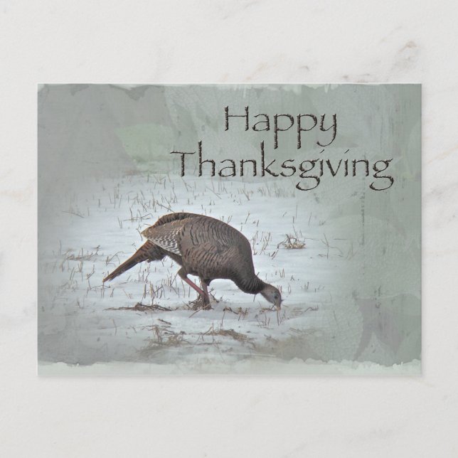 Happy Thanksgiving Wild Turkey Holiday Postcard (Front)